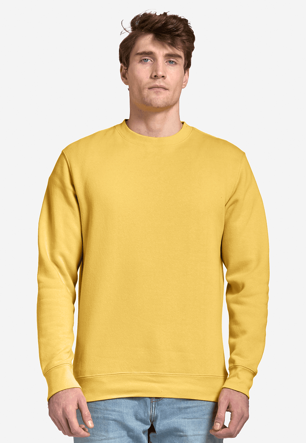 Premium Crewneck Sweatshirt